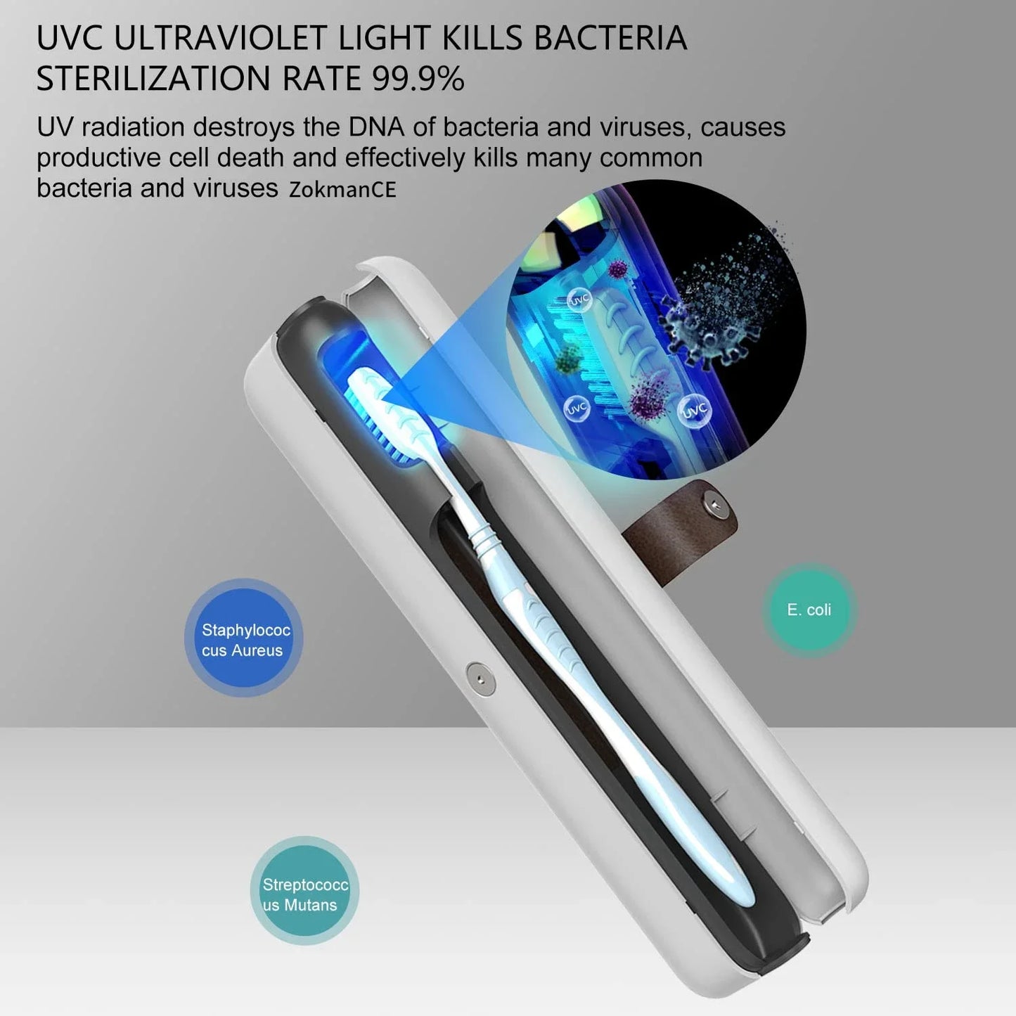 Brosse à dents UV portable Désinfectant Étui de voyage UV-C LED Stérilisation et Stérilisateur Rechargeable Porte-boîte Nettoyant Bureau Accueil