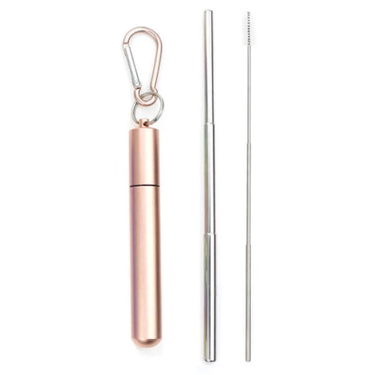 Paille télescopique en acier inoxydable Paille métallique portable avec brosse de nettoyage Voyage Pailles Pique-nique Fournitures de fête Outils de barre