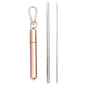 Paille télescopique en acier inoxydable Paille métallique portable avec brosse de nettoyage Voyage Pailles Pique-nique Fournitures de fête Outils de barre